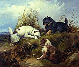 George Armfield Wall Art - Terriers
